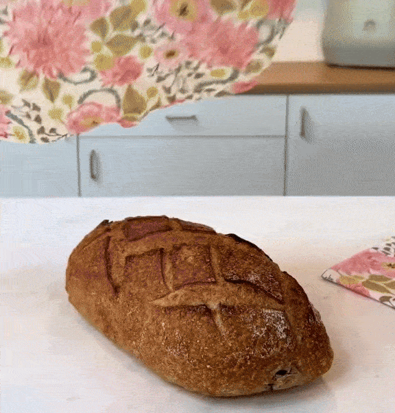 Folie de Păstrare Eco