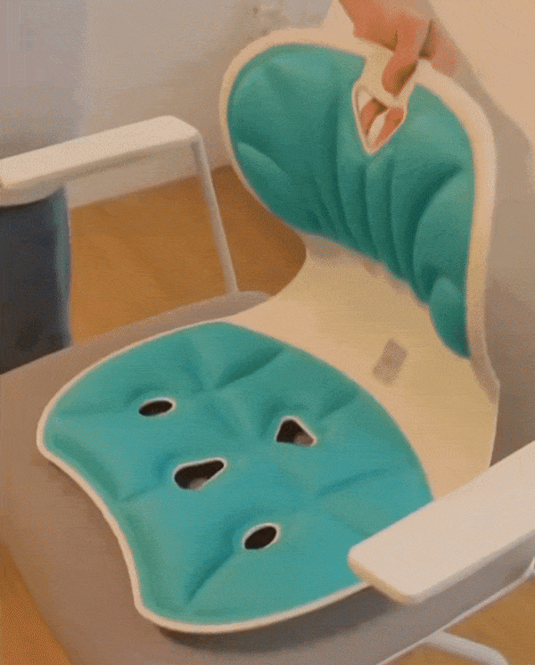 Pernă Relaxare pentru Spate